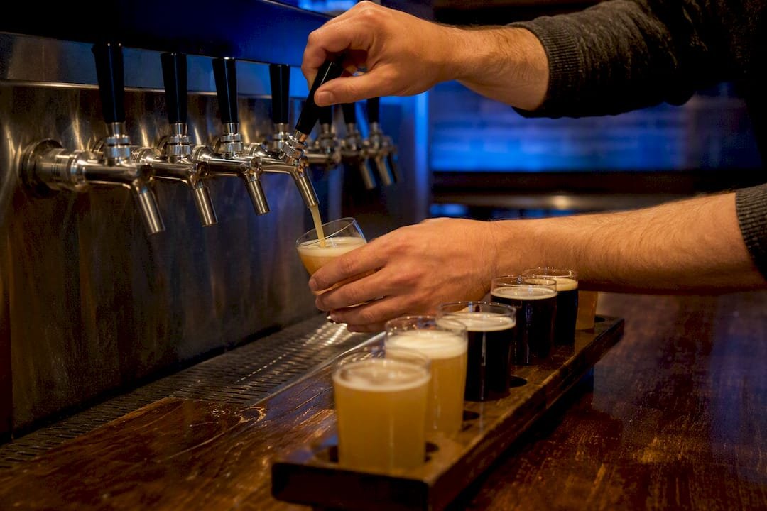 Small beer samples arranged for tasting