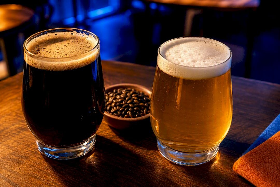 Dark and pale beer tasting samples